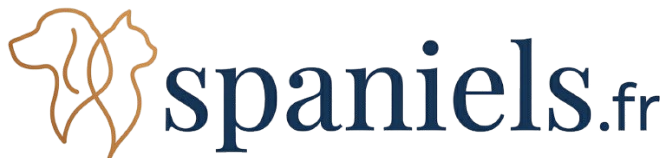 spaniels.fr